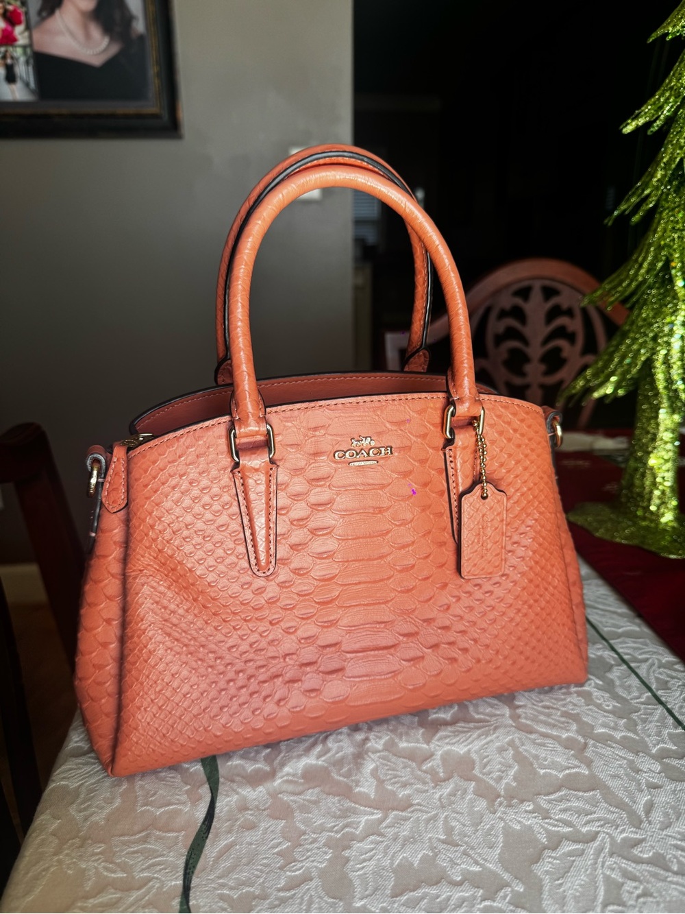 Coach Mini Sage Carryall